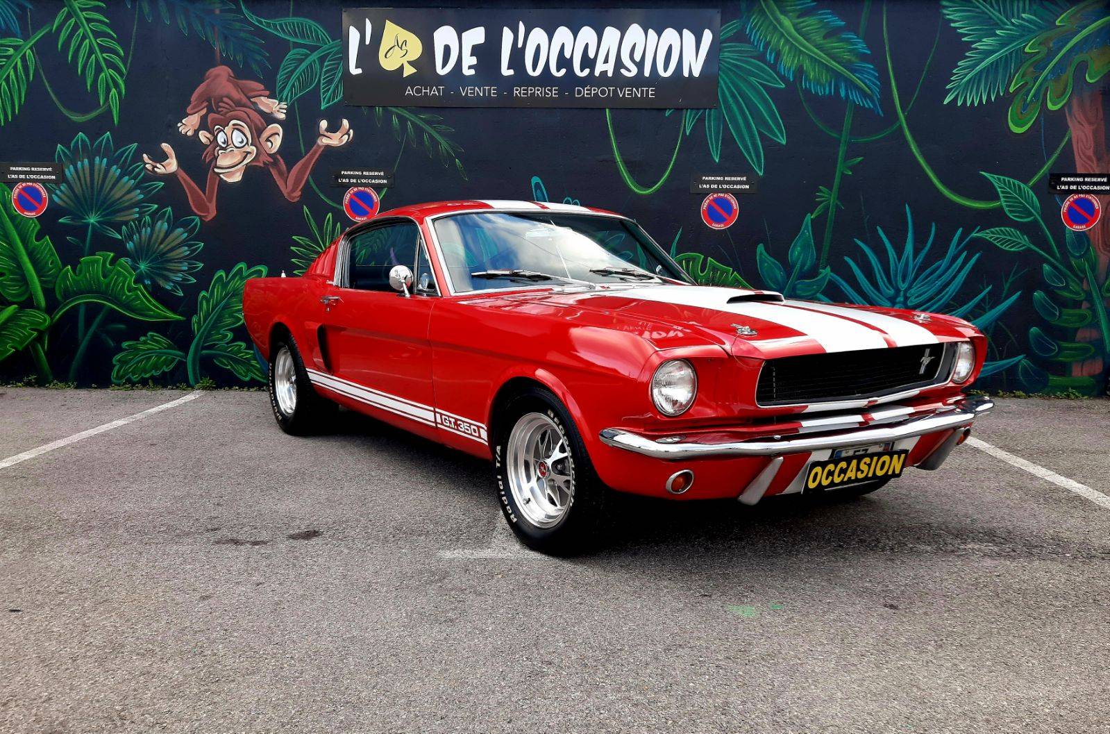 Mustang rouge l'as de l'occasion